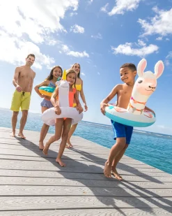Discount Big Animal Inflatable Swim Rings - Assortment Pool Toys