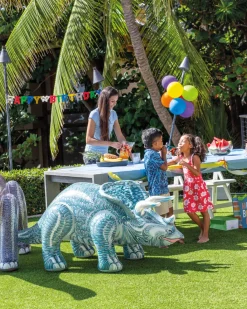 Outlet Jurassic Dino Pals - Brontosaurus and Triceratops Assorted Novelties & Games