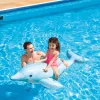 Online Lil' Dolphin Ride-On Inflatable Pool Float Novelties & Games