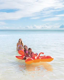 Best Lobster Ride-On Inflatable Pool Float Novelties & Games